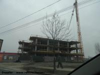 Imagine atasata: Vivalia Bulbuca - 2016.02.06 - 01.jpg